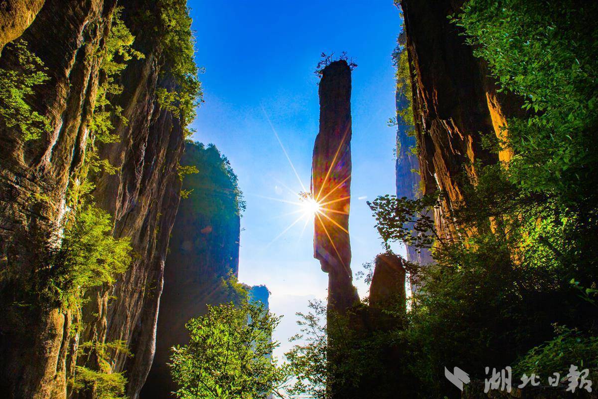 捕鱼游戏平台排行榜